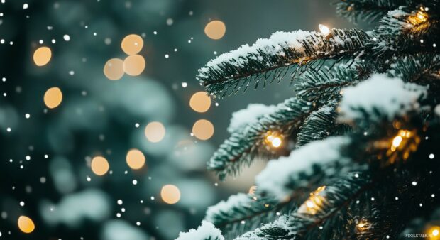 A snowy outdoor Christmas tree with twinkling lights, Christmas Laptop wallpaper.