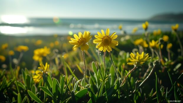 A spring day at the beach with blooming coastal flowers.