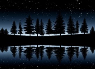 A star filled night sky reflecting on a calm lake, creating a mirror like effect with a dark forest silhouette.