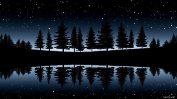 A star filled night sky reflecting on a calm lake, creating a mirror like effect with a dark forest silhouette.