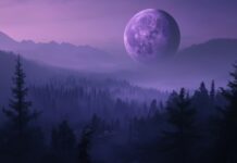 A striking purple moon hanging low in the sky above a dark, misty forest.