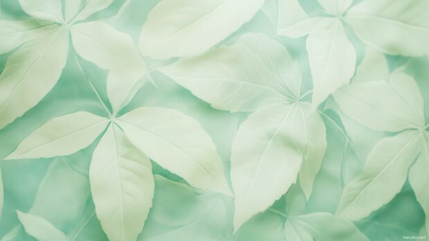 A stylish mint green wallpaper featuring a clean, elegant design.