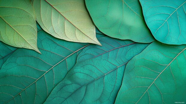 A textured green leaf wallpaper displaying a variety of leaf shapes and shades in a natural layout.