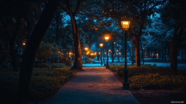 A tranquil city park at night, with glowing lamps casting soft light on pathways.