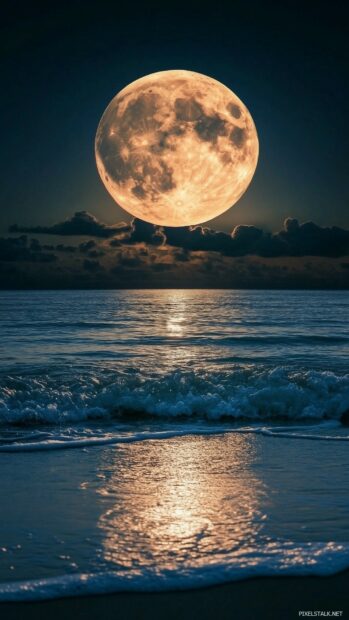 A tranquil coastal 1080 x 1920 Wallpapers Vertical HD with a full moon rising over the ocean.