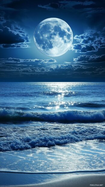 A tranquil coastal scene with a beautiful moon rising over the ocean.