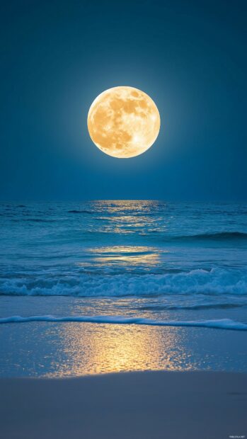 A tranquil coastal scene with a full moon rising over the ocean, iPhone wallpaper.