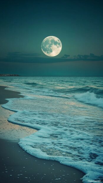 A tranquil coastal scene with a full moon rising over the ocean, its reflection shimmering on the water and blending with the soft waves on the shore.