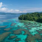 A tropical paradise with crystal clear turquoise waters and coral reefs visible beneath the surface, palm fringed islands in the distance.