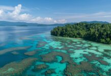 A tropical paradise with crystal clear turquoise waters and coral reefs visible beneath the surface, palm fringed islands in the distance.