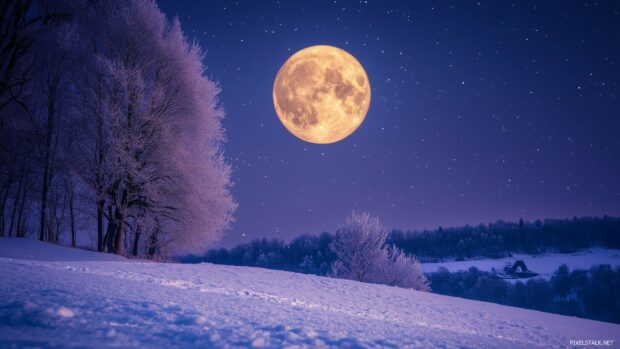 A vibrant full moon shining over a snowy landscape, 1920x1080 Wallpaper Full HD.