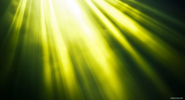 A vibrant lime green background with soft light beams subtly shining through, evoking a bright, lively, and fresh mood.