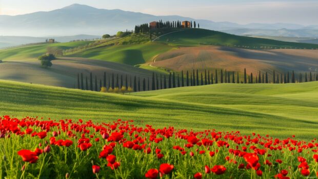 A vibrant spring landscape with rolling hills and blooming fields.