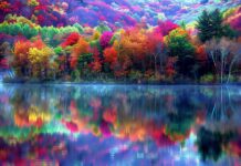 A view of a lake 4K Resolution Wallpaper with perfect autumn foliage reflected in the water.