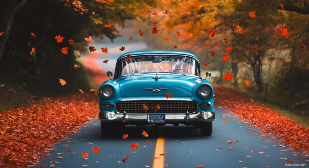 A vintage car in mint condition cruising down a scenic countryside road with autumn leaves falling.