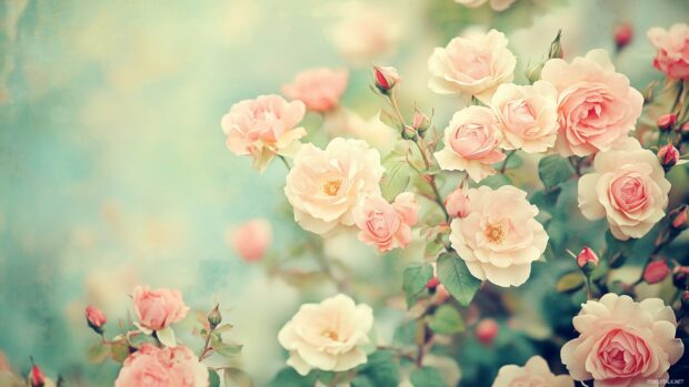 A vintage desktop wallpaper featuring clusters of wild roses in soft hues of pink, blue, and green, reminiscent of a classic garden.