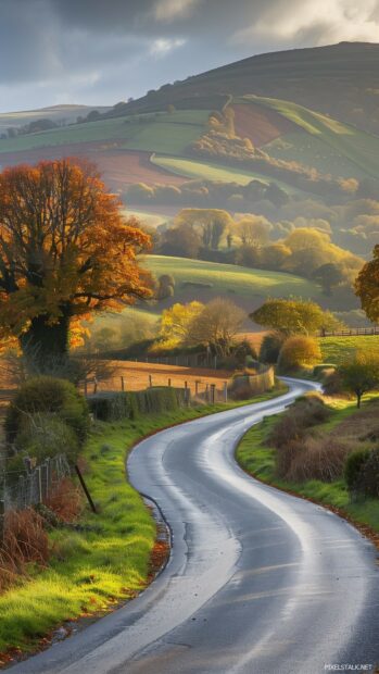 A winding country road lined with vibrant autumn trees leading towards distant hills, 1080 x 1920 Wallpapers Vertical HD.