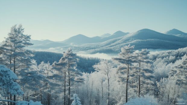 A winter wonderland of Mountains covered in fresh snow under a clear blue sky.