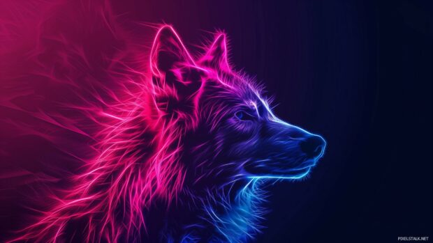 Abstract neon wolf glowing in the dark, Backgrounds 1920×1080.