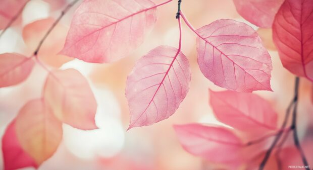 Abstract pink autumn leaf patterns fading into a clean, light pink backdrop.