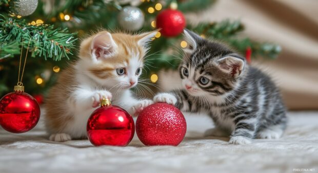 Adorable kittens playing with Christmas ornaments under a decorated tree.