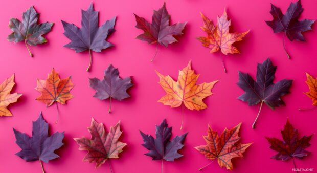 Aesthetic Autumn wallpaper with Simple pattern of fall leaves on a solid color background.