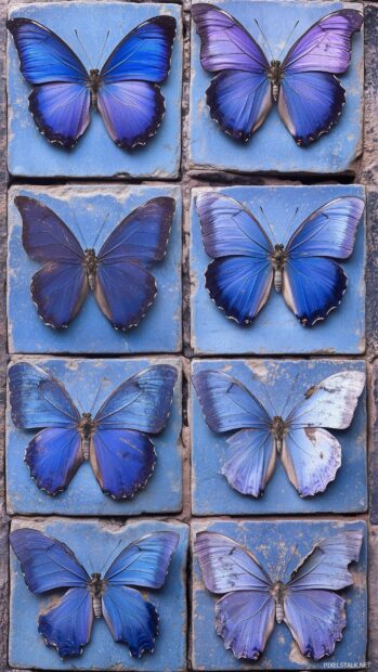 Aesthetic Blue Butterfly wallpaper iPhone.