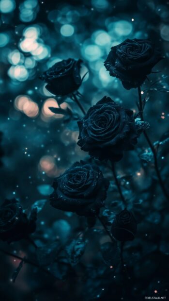 Aesthetic Rose Wallpaper 4.