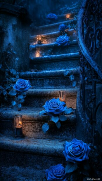 Aesthetic blue roses cascading down a staircase, with warm light illuminating the petals.