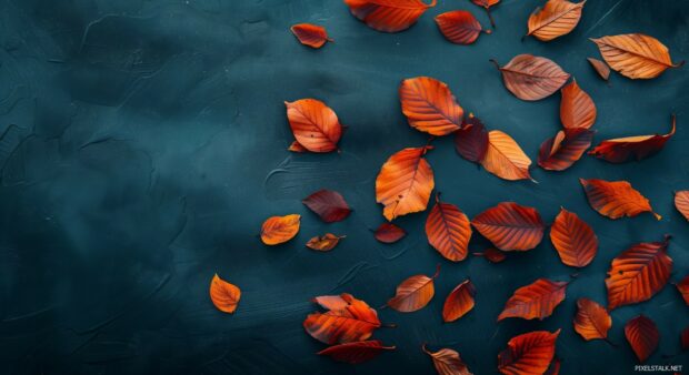 Aesthetic fall leaves scattered on a flat surface.