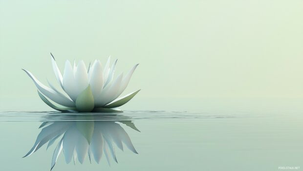 Amazing Laptop HD Wallpaper with a single lotus flower delicately floating on still water with a light gradient background of pale green.