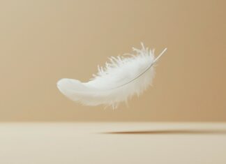 Amazing Laptop Wallpaper with a lone white feather floating in mid air on a beige background, exuding simplicity and elegance.