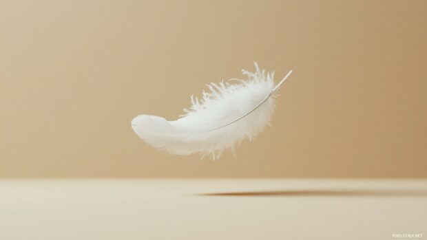 Amazing Laptop Wallpaper with a lone white feather floating in mid air on a beige background, exuding simplicity and elegance.