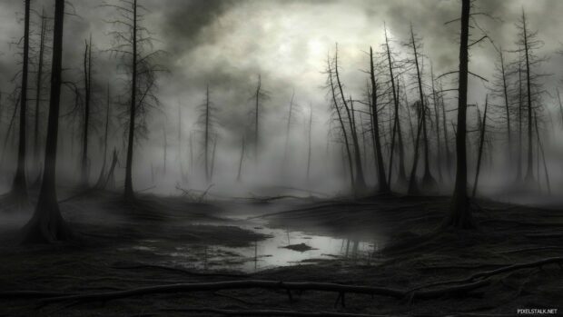 An eerie, foggy marshland with dead trees and dark water, illuminated only by the faint glow of moonlight breaking through the mist.