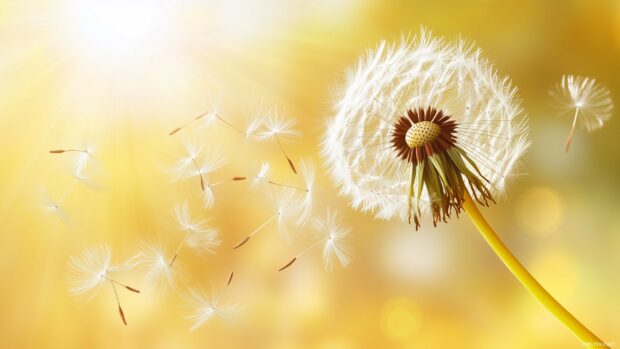 An elegant dandelion puff blowing in the wind on a soft, pastel colored background,.