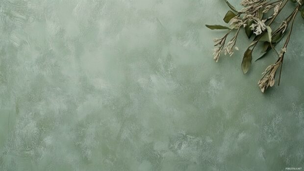 An elegant light green wallpaper free download for PC and Laptop using Windows.