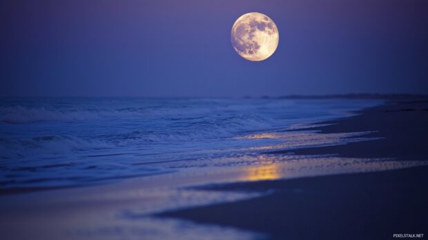 An enchanting view of a full moon shining.