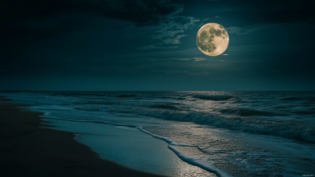 An enchanting view of a full moon shining brightly over a quiet beach.