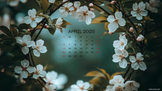 April 2025 Calendar HD Wallpaper for Desktop Windows 3.