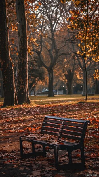 Autumn 1080 x 1920 Wallpapers Vertical HD with a bench covered in fallen leaves, trees with colorful foliage.