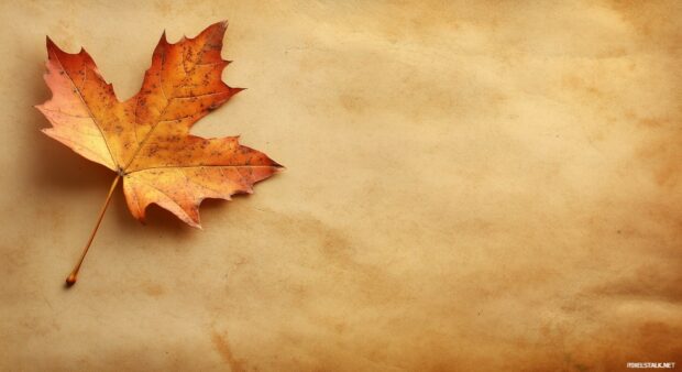 Autumn leaf at the left corner on a plain, warm toned background.