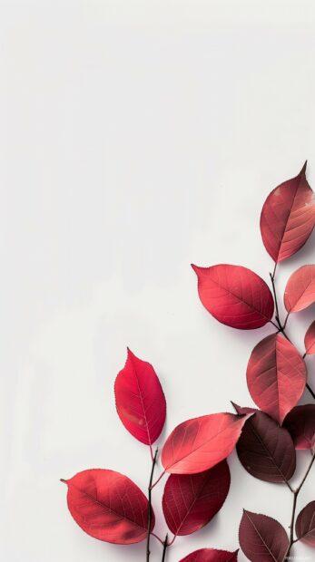 Autumn leaves in a clean and simple layout, phone wallpaper.