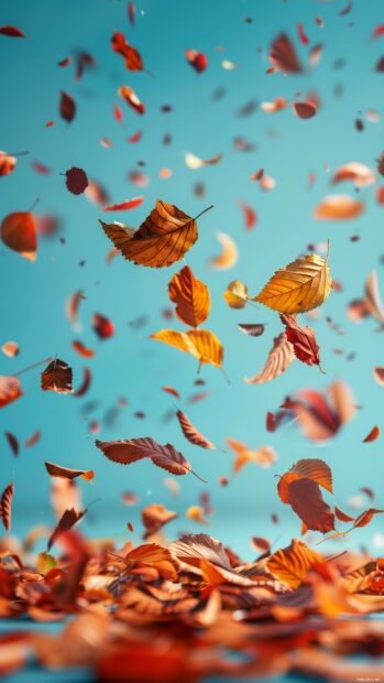 Autumn leaves in various colors falling gently against a clear sky.