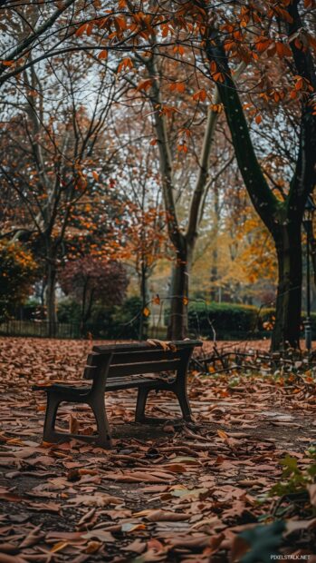 Autumn park phone wallpaper with a bench covered in fallen leaves, trees with colorful foliage.