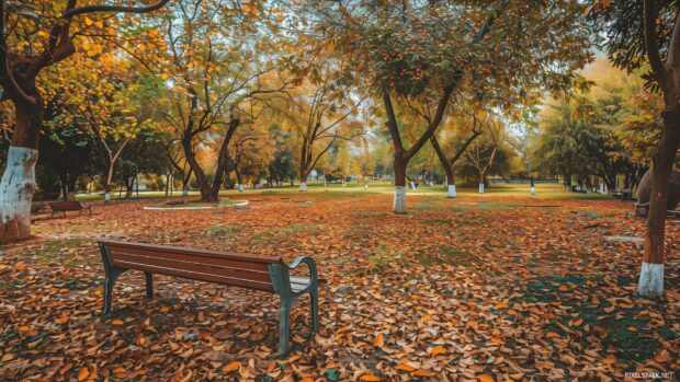 Autumn park with a bench covered in fallen leaves, trees with colorful foliage, gentle breeze, soft light creating a cozy and peaceful scene.