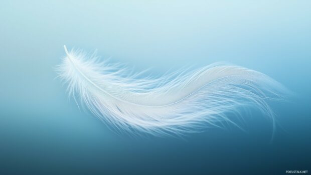 Awesome Laptop HD Wallpaper with a delicate white feather floating against a smooth gradient background of pastel blue, soft lighting for a calm atmosphere.