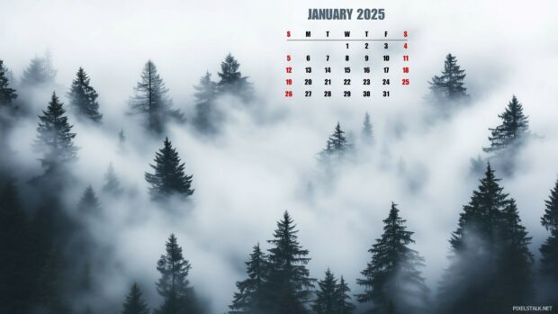 Backgrounds January 2025 Calendar.