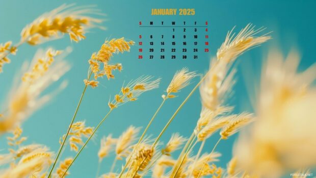 Beautiful January 2025 Calendar Wallpaper.