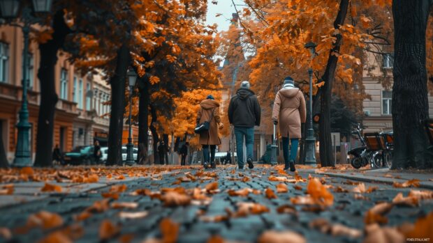 City street in autumn, trees with cozy fall colors.