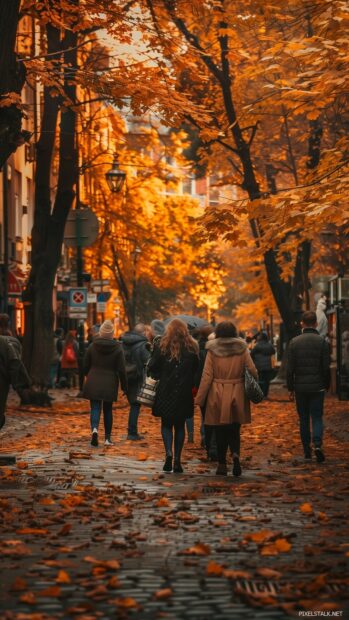 City street in autumn, trees with vibrant fall colors.